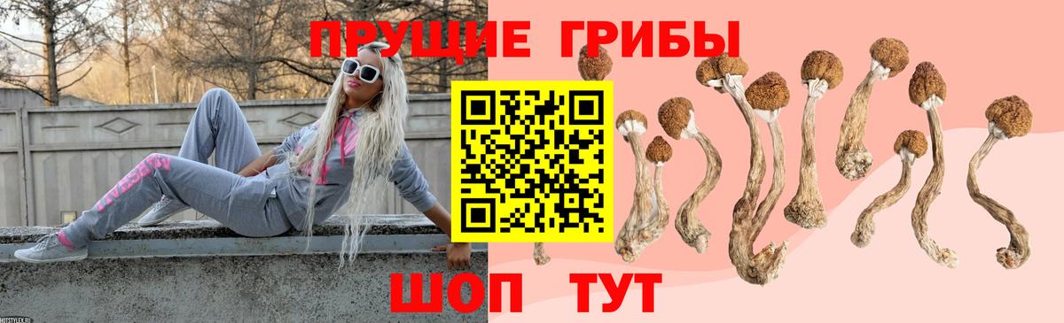 Галлюциногенные грибы Psilocybe  Вход с VPN  Железноводск 