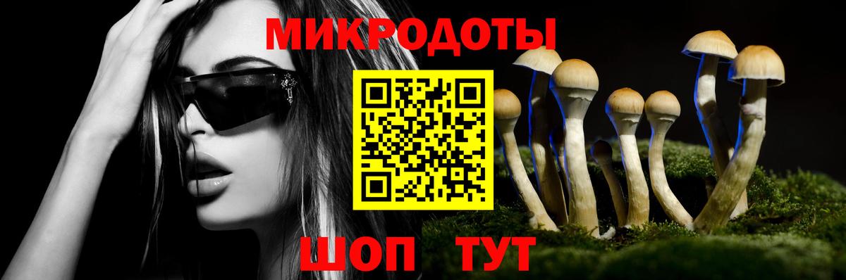 Псилоцибиновые грибы прущие грибы Железноводск